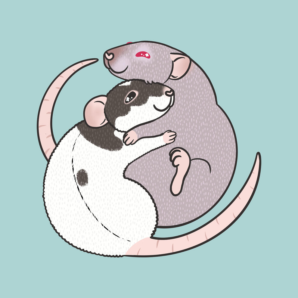 Commission for Rat Way Sanctuary 2024