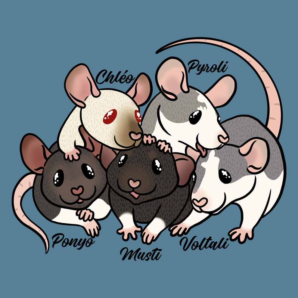 A digital drawing of five rats in a rat pile.