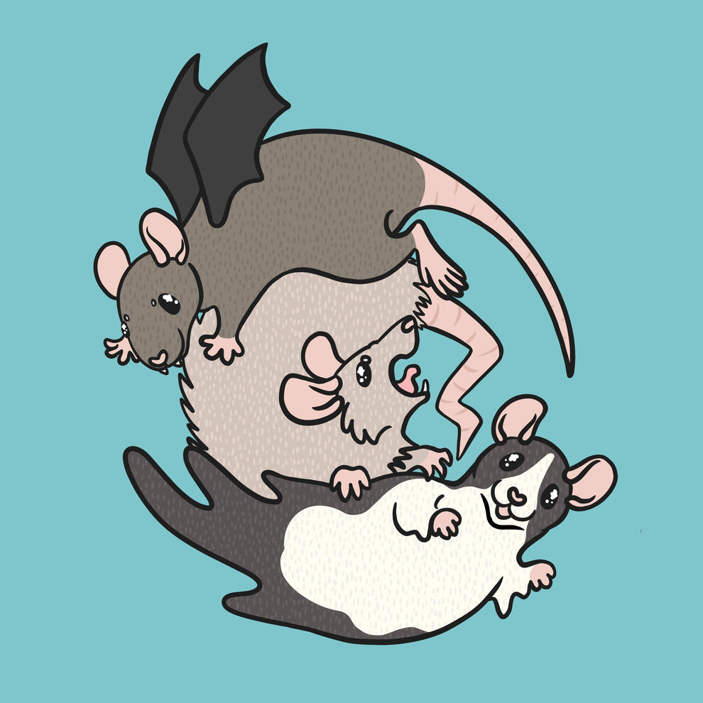 A digital drawing of three rats with a Halloween costume theme. One looks like a vampire, one looks like a werewolf, and one looks like a ghost.
