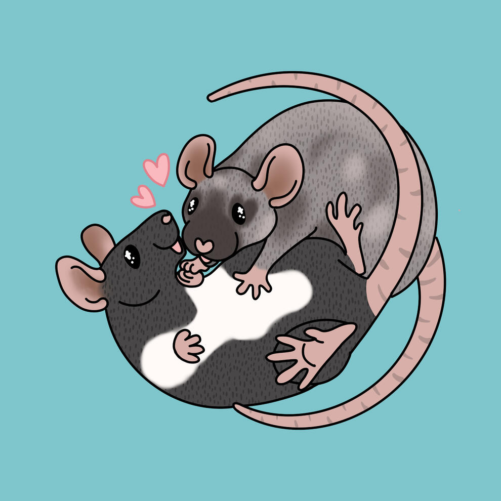 A digital drawing of two rats wrestling.