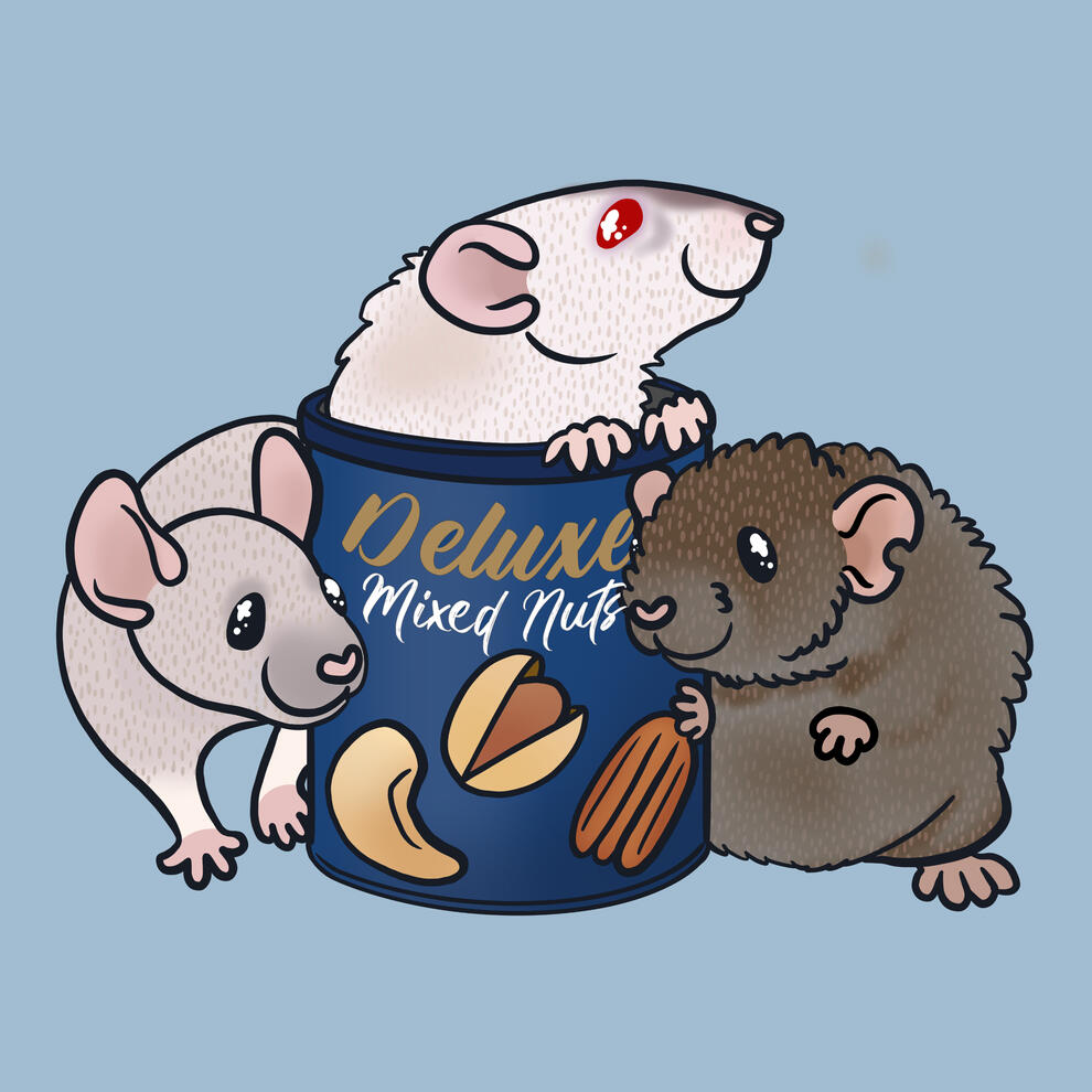 Commission for Rat Way Sanctuary 2024